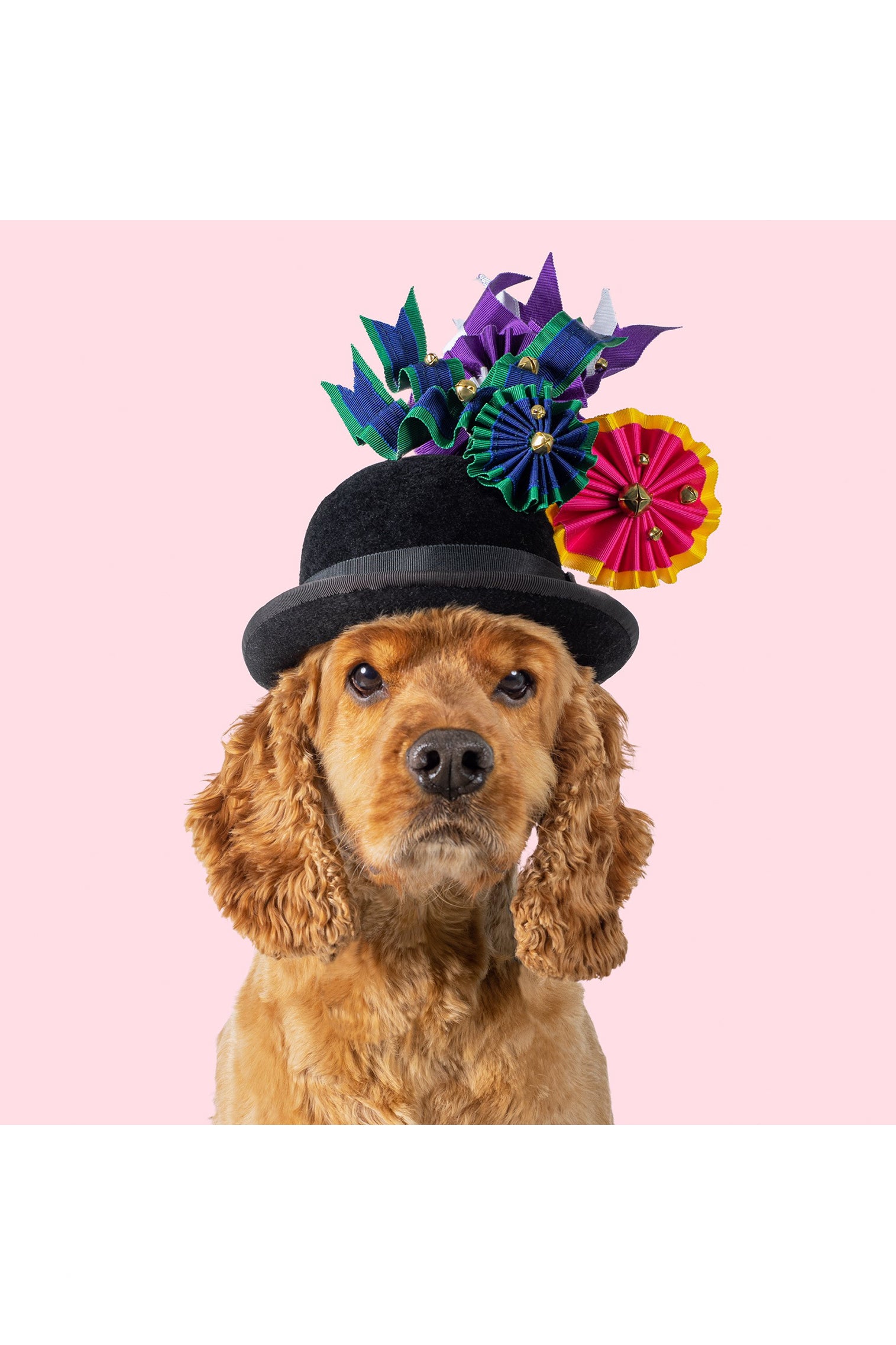 Haute Dogs Calendar 2024 - Hat Accessories - Lock & Co. Hatters London UK