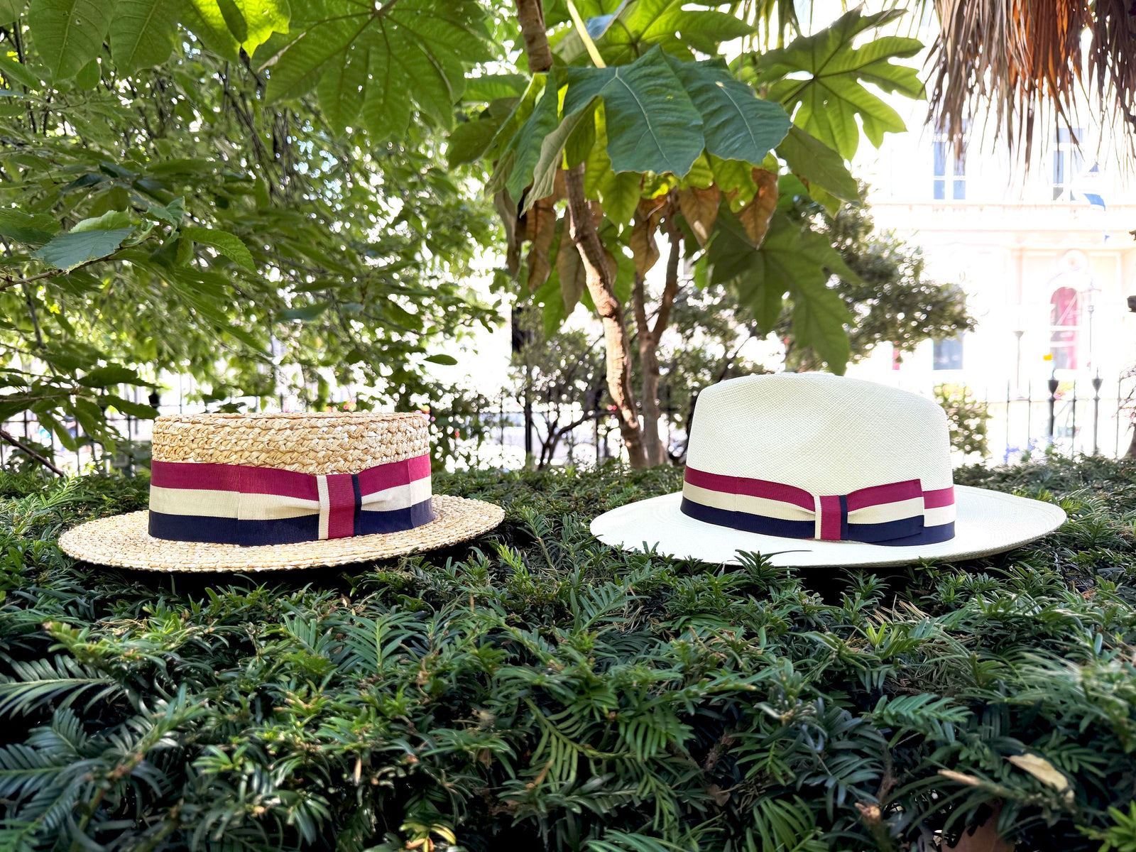 350 Wide Brim Panama with Lock & Co. house ribbon and 350 classic boater with lock & Co. House band and bow